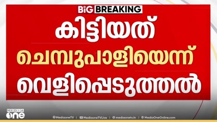 ശബരിമല സ്വർണപ്പാളി വിവാദം;  കിട്ടിയത് ചെമ്പ് പാളിയെന്ന് അനന്ത സുബ്രഹ്മണ്യം