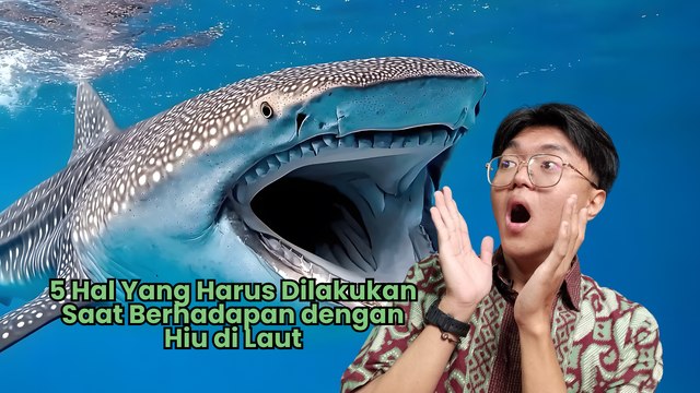 Hal yang Harus Dilakukan Saat Berhadapan dengan Hiu di Laut-Serius Ini Hewan?