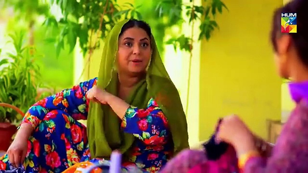 Choti Si Zindagi Episode #13 HUM TV Drama