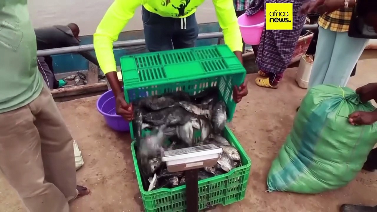 Afrique : déclin des poissons d’eau douce, un r...