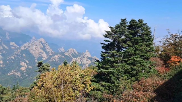 설악산 올해 첫 단풍 시작...지난해보다 이틀 빨라 / YTN