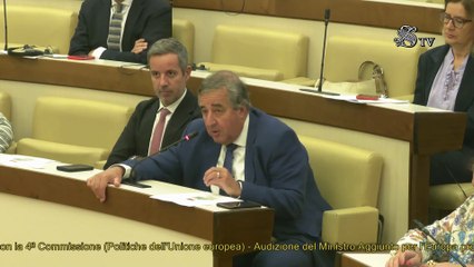 Roma - Audizione informale in Commissioni riunite 3a e 4a (02.10.25)
