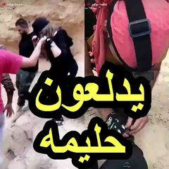 هجوم على حليمة بولند.. والسبب هذا الفيديو المُستفز