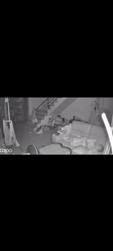 Cobra invade casa à noite e assusta moradora que dormia em sofá