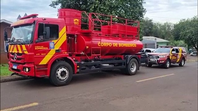 Bombeiros são acionados para capturar pitbull mas animal só demostra carência