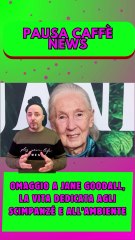 Omaggio a Jane Goodall, la vita dedicata agli scimpanzé e all’ambiente