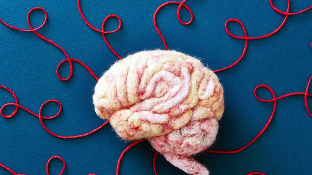 Quali sono le ore del giorno in cui il cervello funziona meglio?