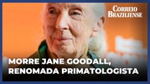 Morre Jane Goodall, bióloga referência em primatas, aos 91 anos