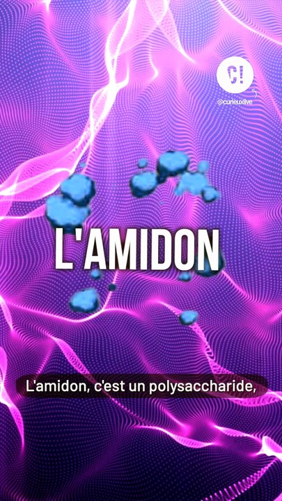 TUTO : Comment faire cuire des pâtes parfaites ?
