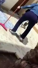 بالفيديو سيدة تقتل ثعبان بالممسحة المنزلية قبل أن يصل إلى أطفالها
