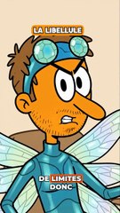 Le jour où les espèces ont choisi leur apparence