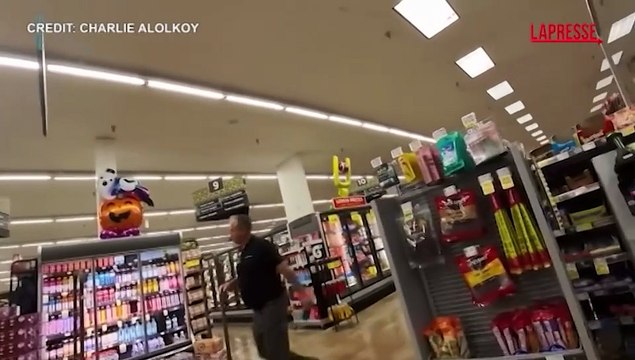 Arizona, orso bruno corre tra gli scaffali di un supermercato