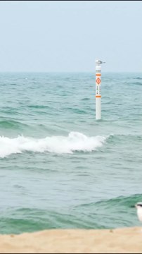 Ocean Noise For Sleep, Ocean Sounds For Anxiety, Ocean Waves Relaxing Sounds, Ocean Wave Relaxation