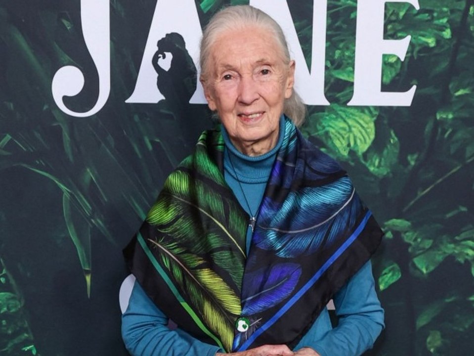 Primatenforscherin Jane Goodall ist tot