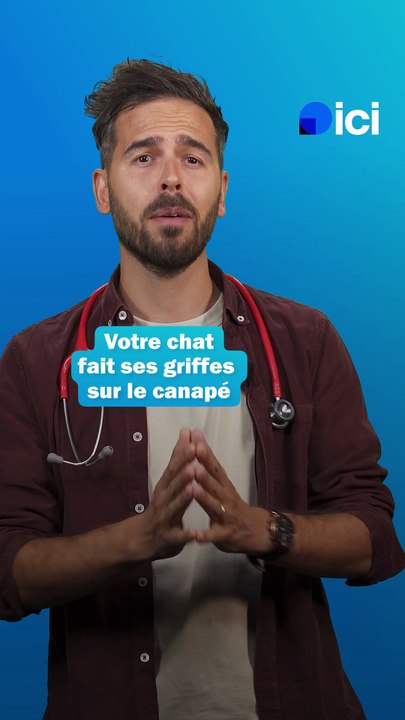 Votre chat fait ses griffes sur le canapé