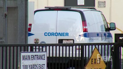 D4vd Case_ Authorities Share If Celeste Rivas Hernandez Was Pregnant _ E! News