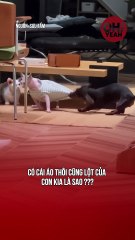 Gì lột đồ người ta ra zậy cha