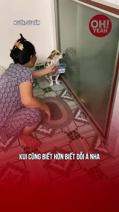 Zậy á mà nó dỗi tui