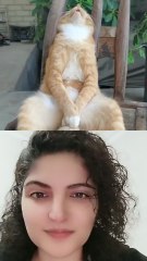 #duet with @Mèo meo meoمزاج قطقوط مقطط #f #fyp #viral #funnyreels