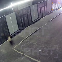 VIDEO: ¡No le gustaron los precios! Oveja enojada destroza escaparate de una tienda