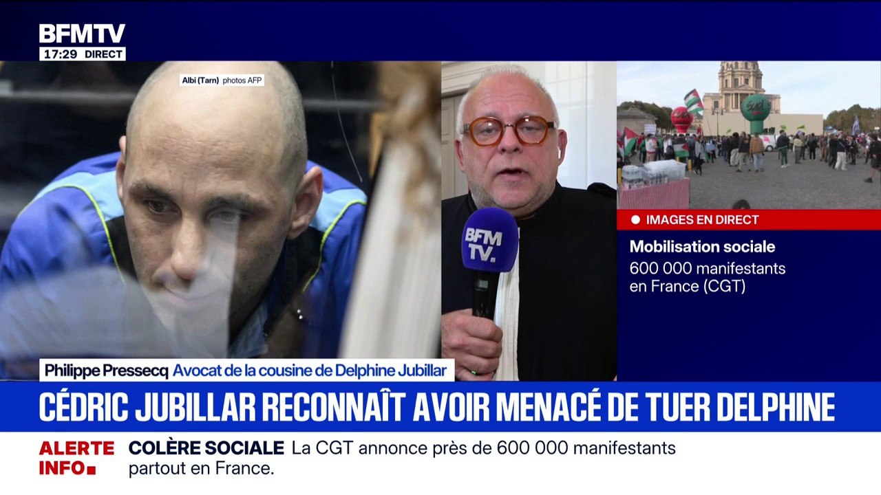Procès de Cédric Jubillar: "On le sent presque absent; manifestement, il a été préparé à cette audience", assure l'avocat de la cousine de Delphine