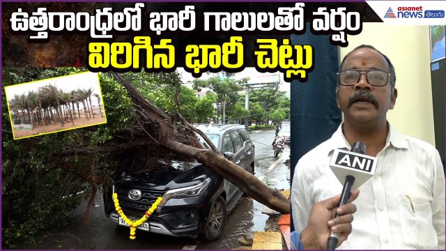 Uttarandhra Rain Update: ఉత్తరాంధ్రలో భారీ గాలులతో వర్షం.. విరిగిన భారీ చెట్లు | Asianet News Telugu