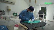 Dans les coulisses de la clinoique vétérinaire AniCura ADK, à Heusy (Verviers)
