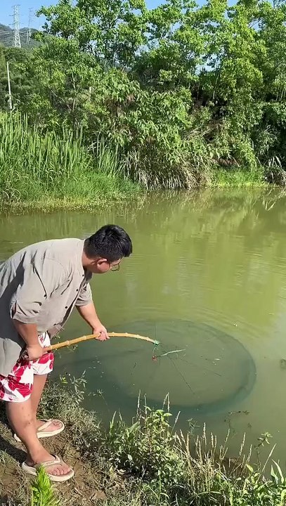 Lưới câu cá, tôm gấp gọn, lưới bắt cá ao hồ nhanh gọn🐟 #fishing #shorts