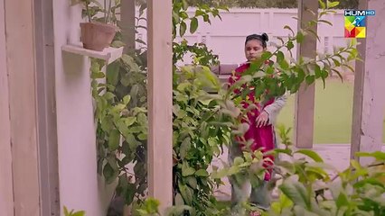 Jama Taqseem Episode 08 | Watch the Latest Drama Update 🎬