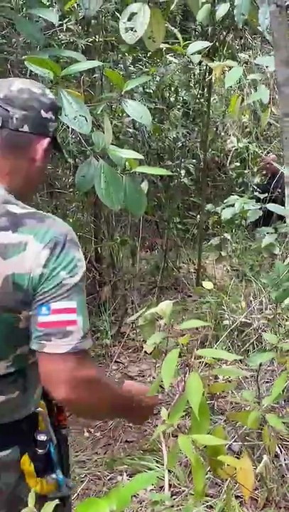 Bombeiro revela detalhes da operação que encontrou os corpos das mulheres que desapareceram em Simões Filho; assista