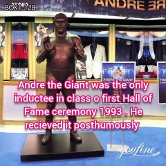 WWE HALL of FAME 1993 - 1996