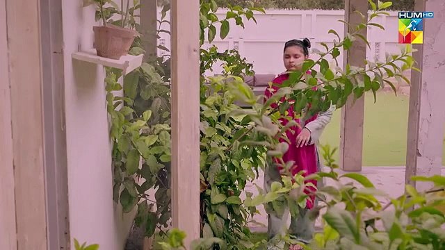 Jama Taqseem Episode 08 - 02 October 2025 [Mawra Hocane _ Talha Chahour] - HUM TV(360P)