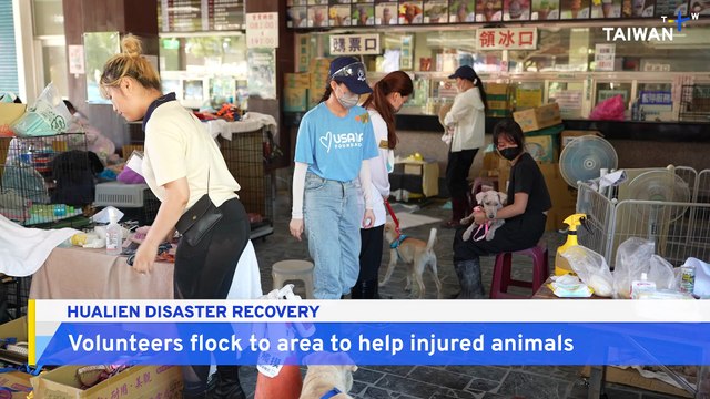 Volunteers Work To Help Animals Affected By Hualien Flash Floods