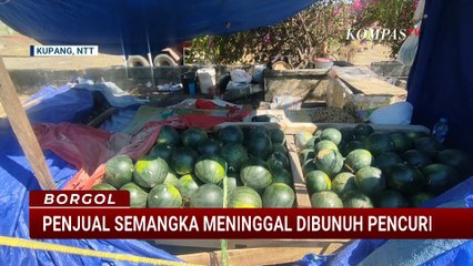 Penjual Semangka di Kupang Meninggal Dibunuh Pencuri, Polisi Buru Pelaku | BORGOL