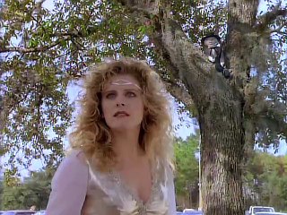 Superboy 2x14 El maleficio de peri amarilla 1988 Español.E (Logankirk)