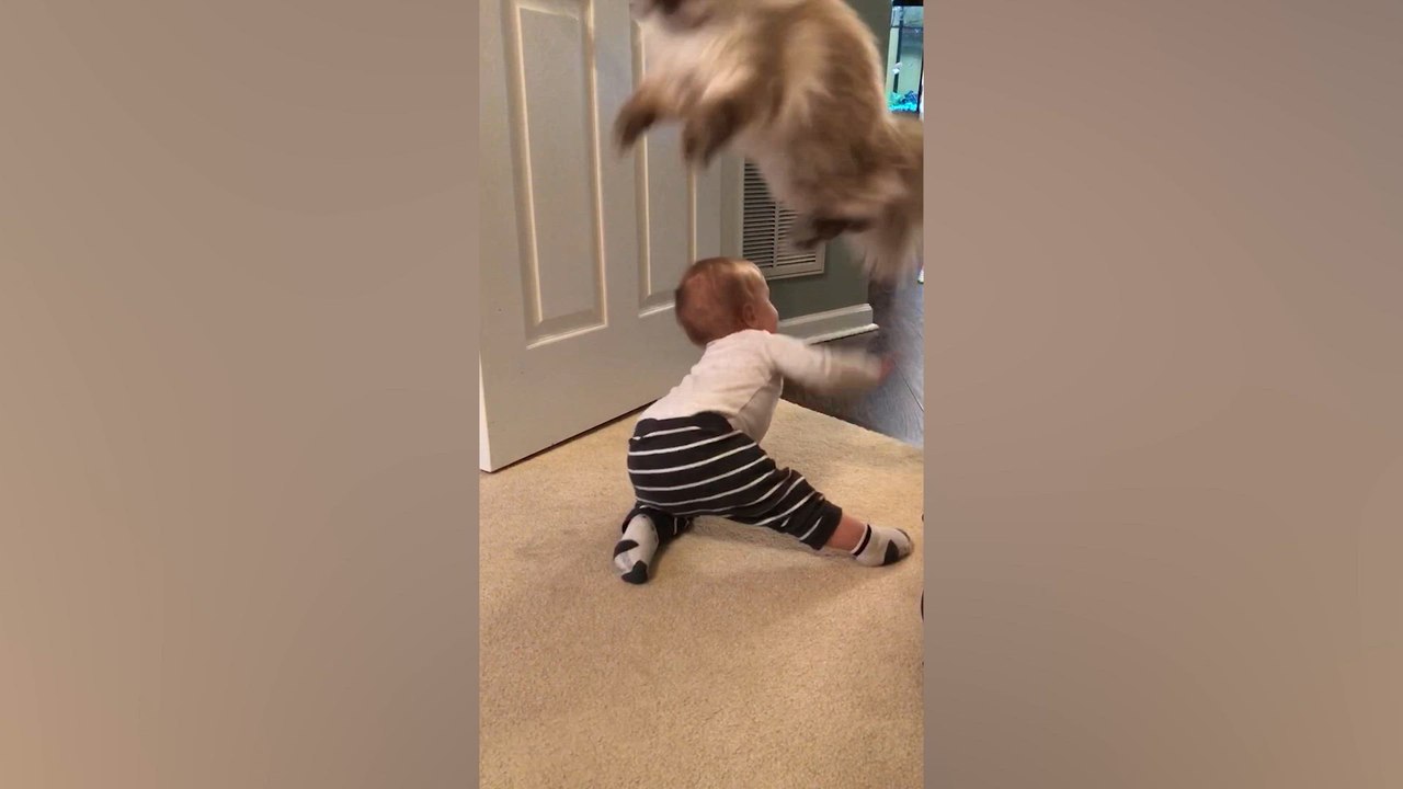 All the Babies