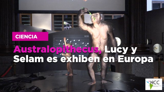 Australopithecus, Lucy y Selam es exhiben en Europa
