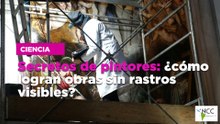 “Underwater Oases”: Campaña submarina histórica en Argentina