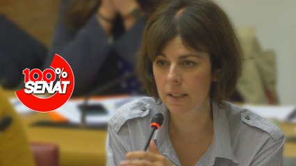 100% Sénat - Congés payés et droit européen : où en est la France ?