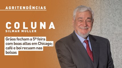 Grãos fecham a 5ª feira com boas altas em Chicago; café e boi recuam nas bolsas