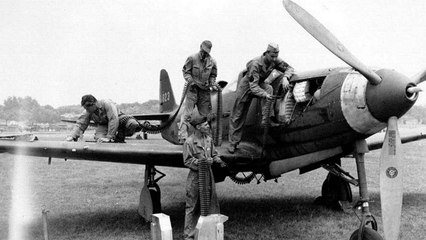 Second World War American P-63 "Kingcobra" fighter recovered in Russia and flown to Moscow