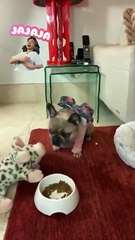 Какие же они умные