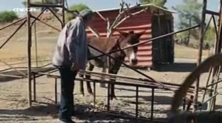 Η Γη της Ελιάς- Επεισόδιο 12 - 5ος Κύκλος