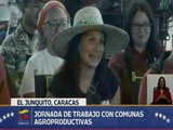 Agroproductores de El Junquito fortalecen el sistema alimentario con producción de rubros en la zona