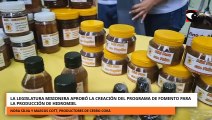 La Legislatura misionera aprobó la creación del Programa de Fomento para la Producción de Hidromiel