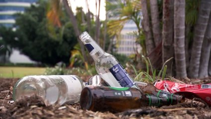 Darwin businesses call for return of late-night security patrols amid violence, anti-social behaviour