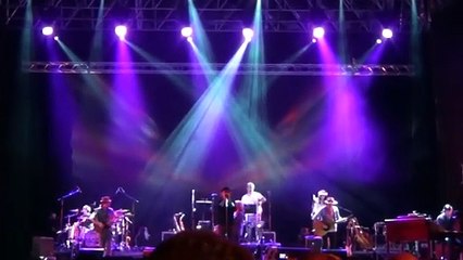 Francesco De Gregori - Buonanotte Fiorellino (live)