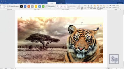 Word - Como hacer una imagen transparente en Word y guardarla. Tutorial en español HD