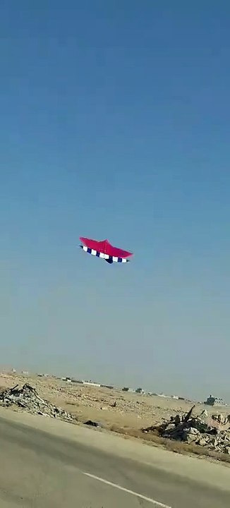 Nice Kite Flying #viralshorts #grow