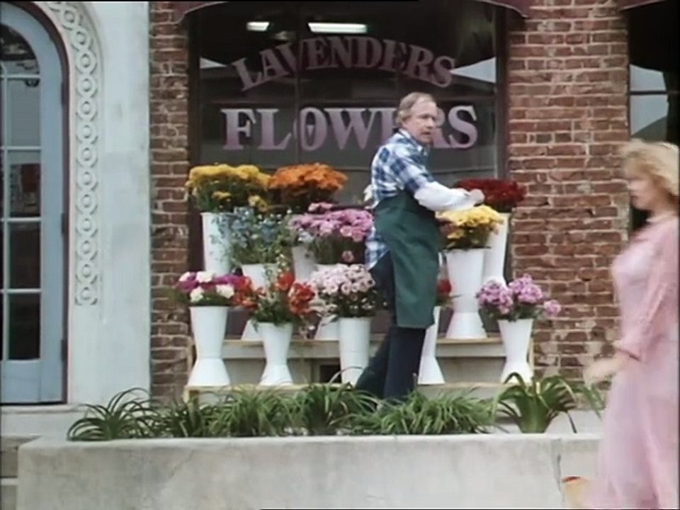 9 Ninjas y Medio 1991 Español España Castellano - 9 1/2 Ninjas!